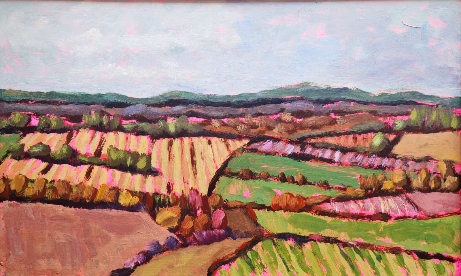 Belinda Millar, Homeward