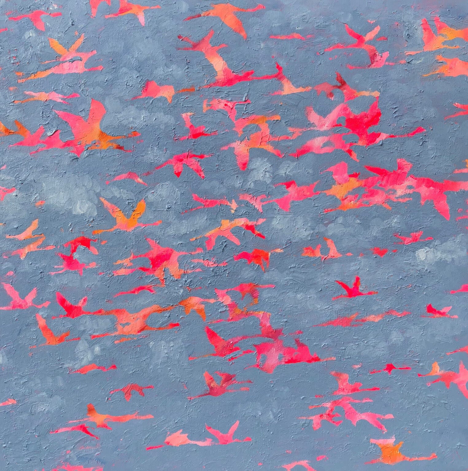 Jeremy Houghton, Tickled Pink