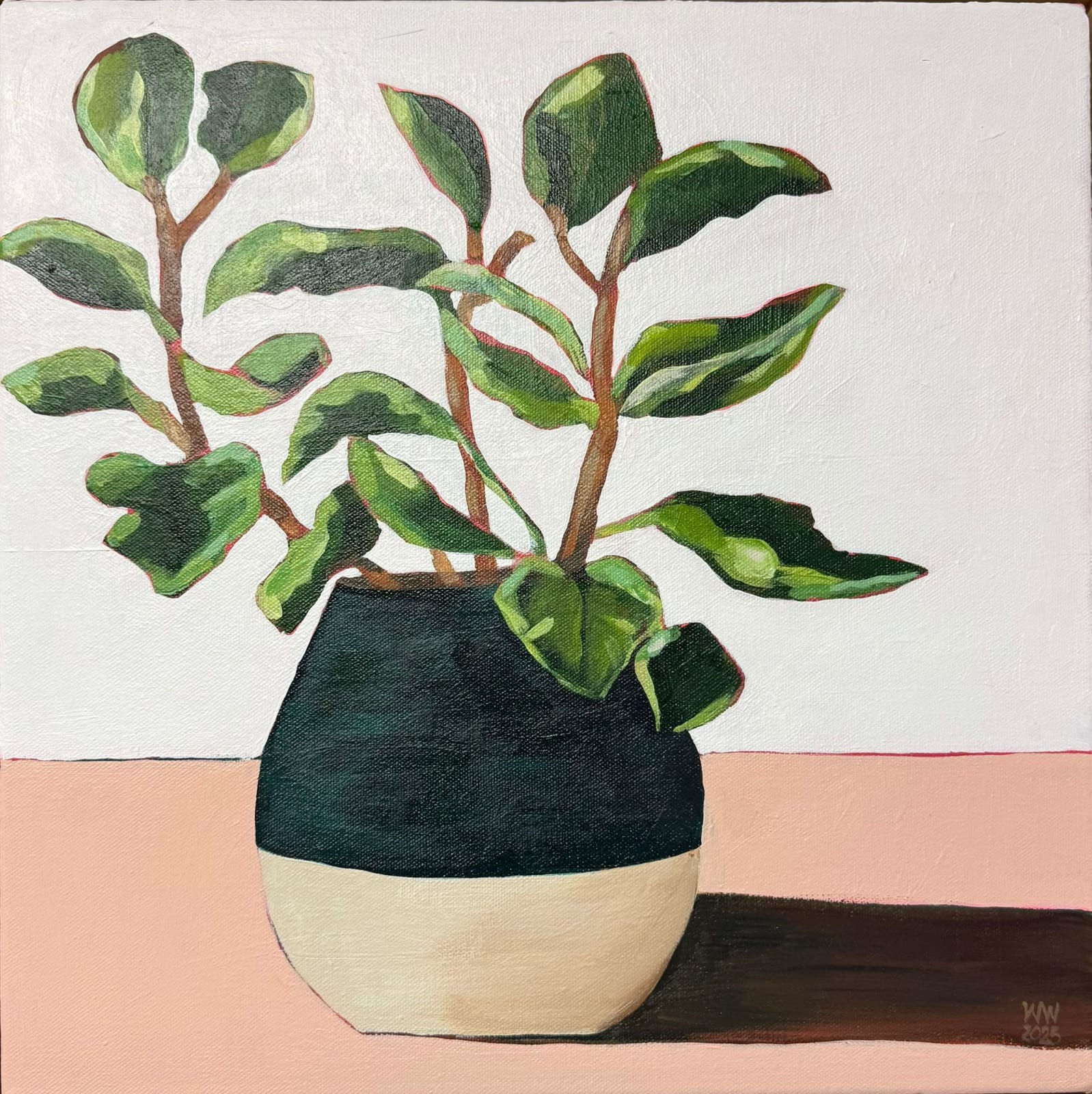 Wendi Weller, Jade Plant in Earthenware Pot