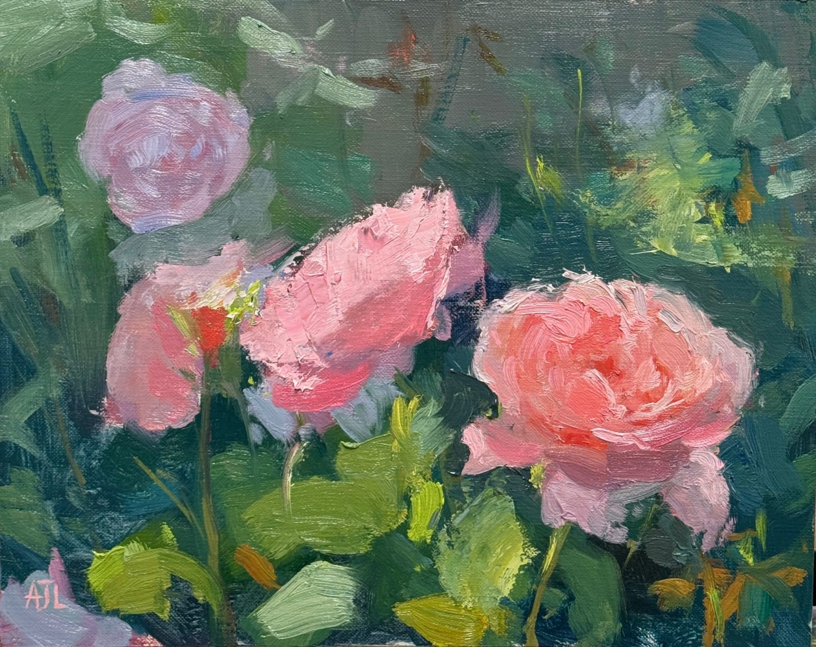 Alex Long, Strawberry Hill Roses