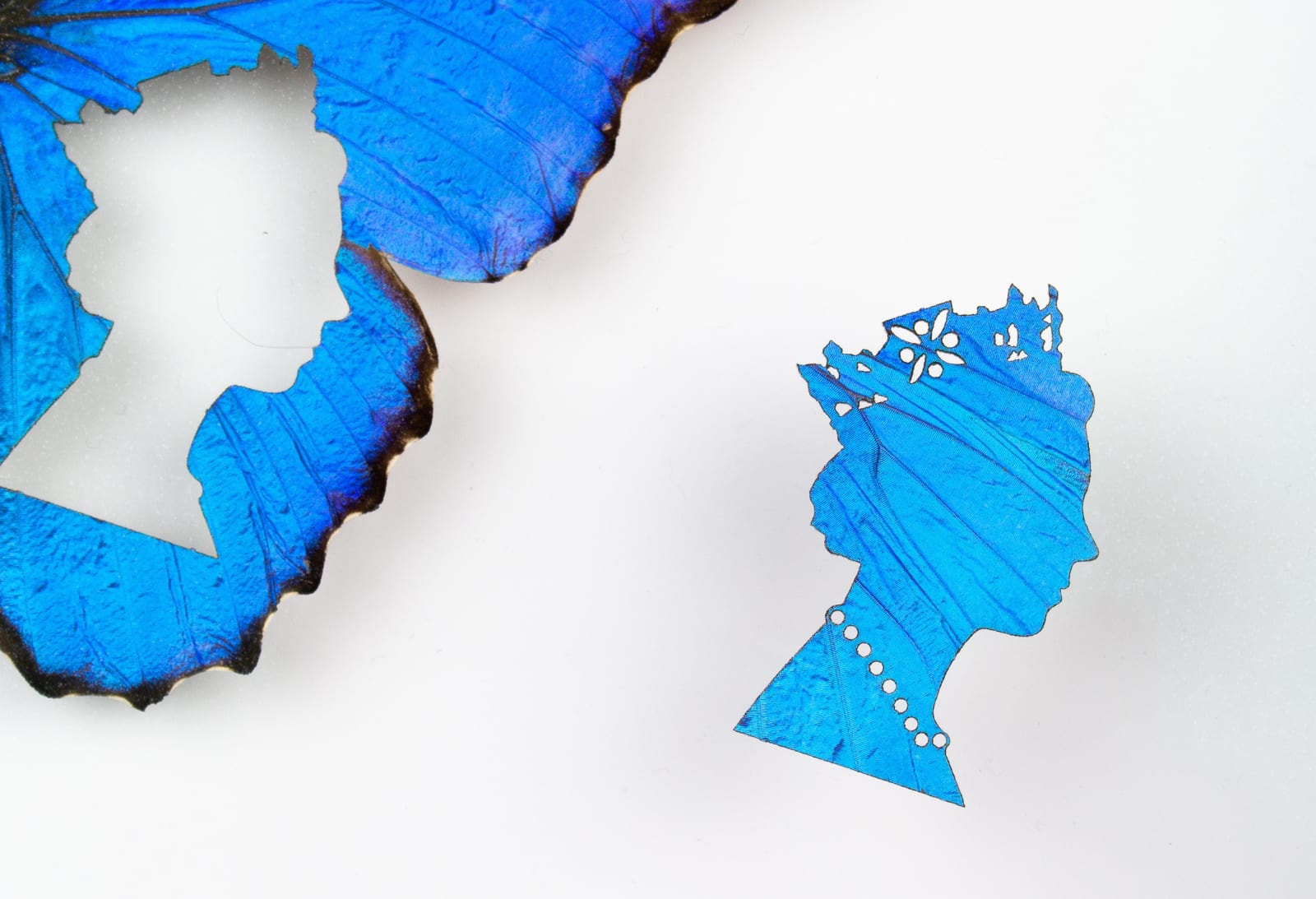Fiona Parkinson, Ma'am Butterfly