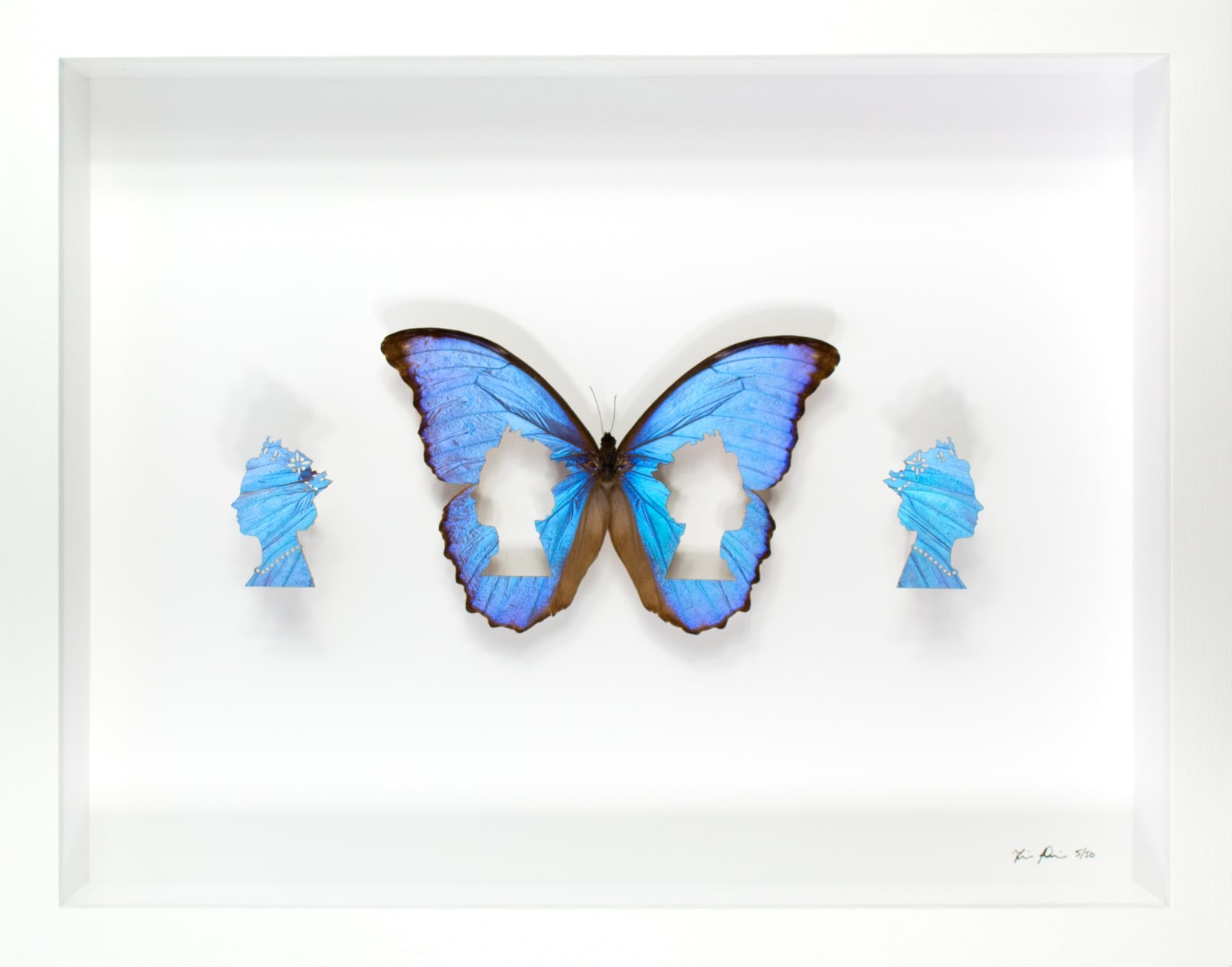 Fiona Parkinson, Ma'am Butterfly