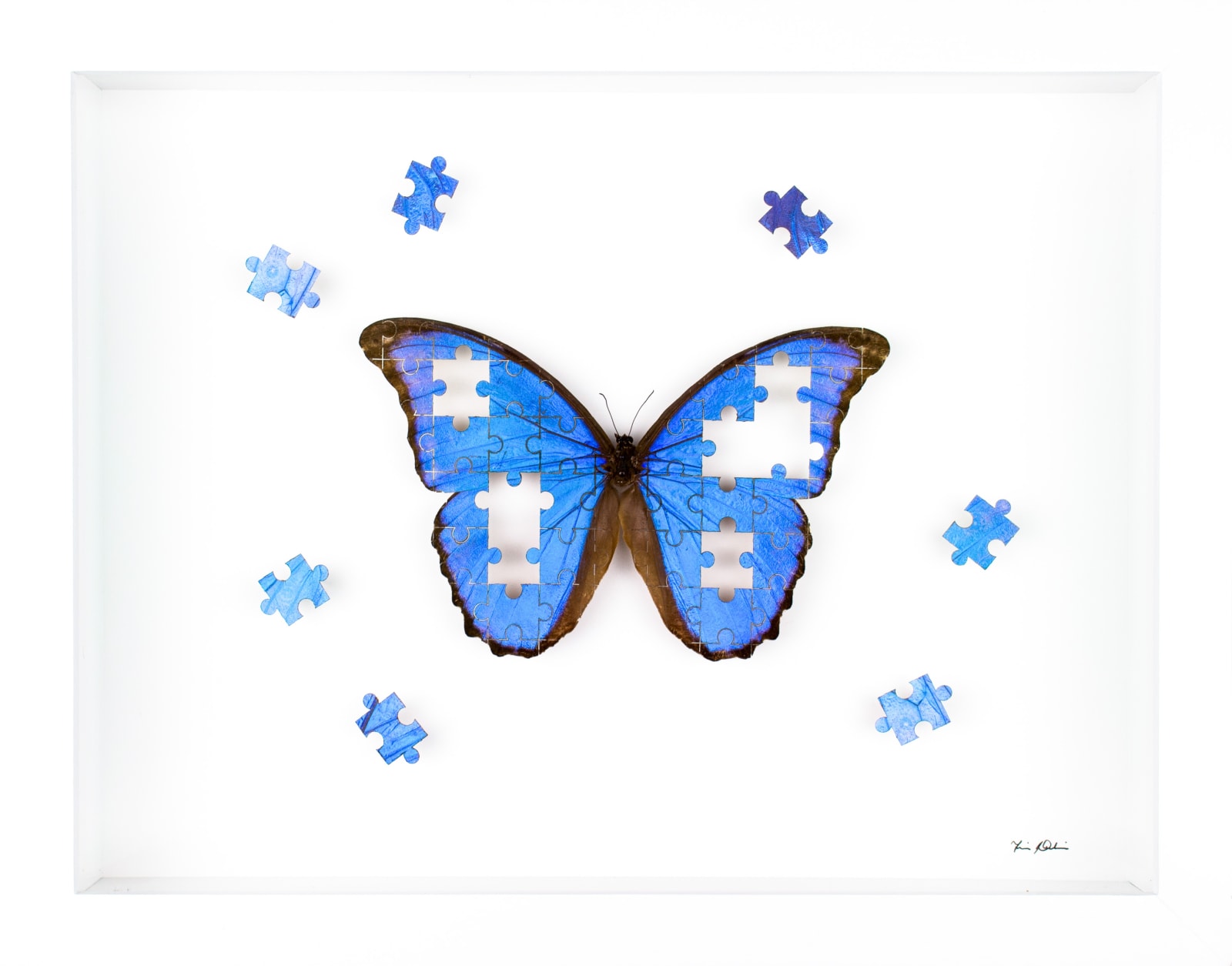Fiona Parkinson, The Puzzle