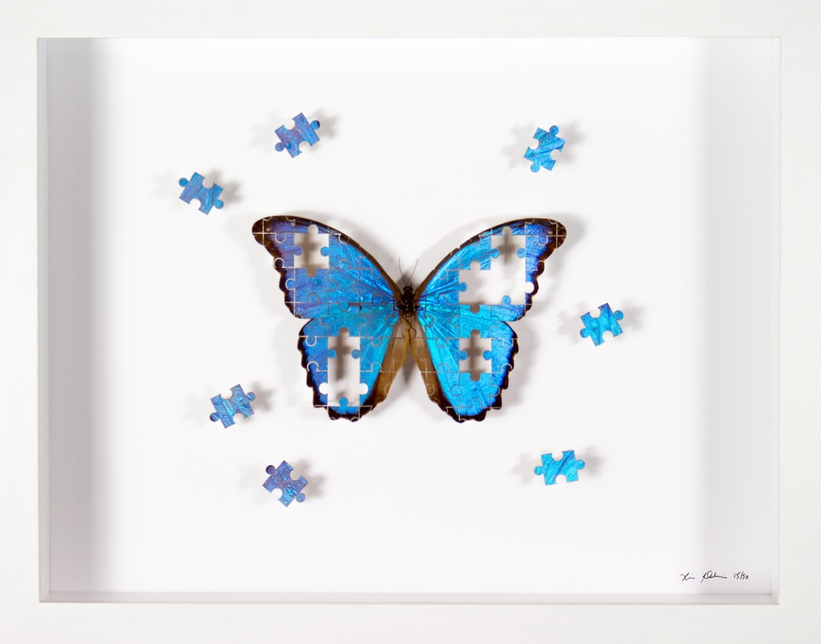 Fiona Parkinson, The Puzzle