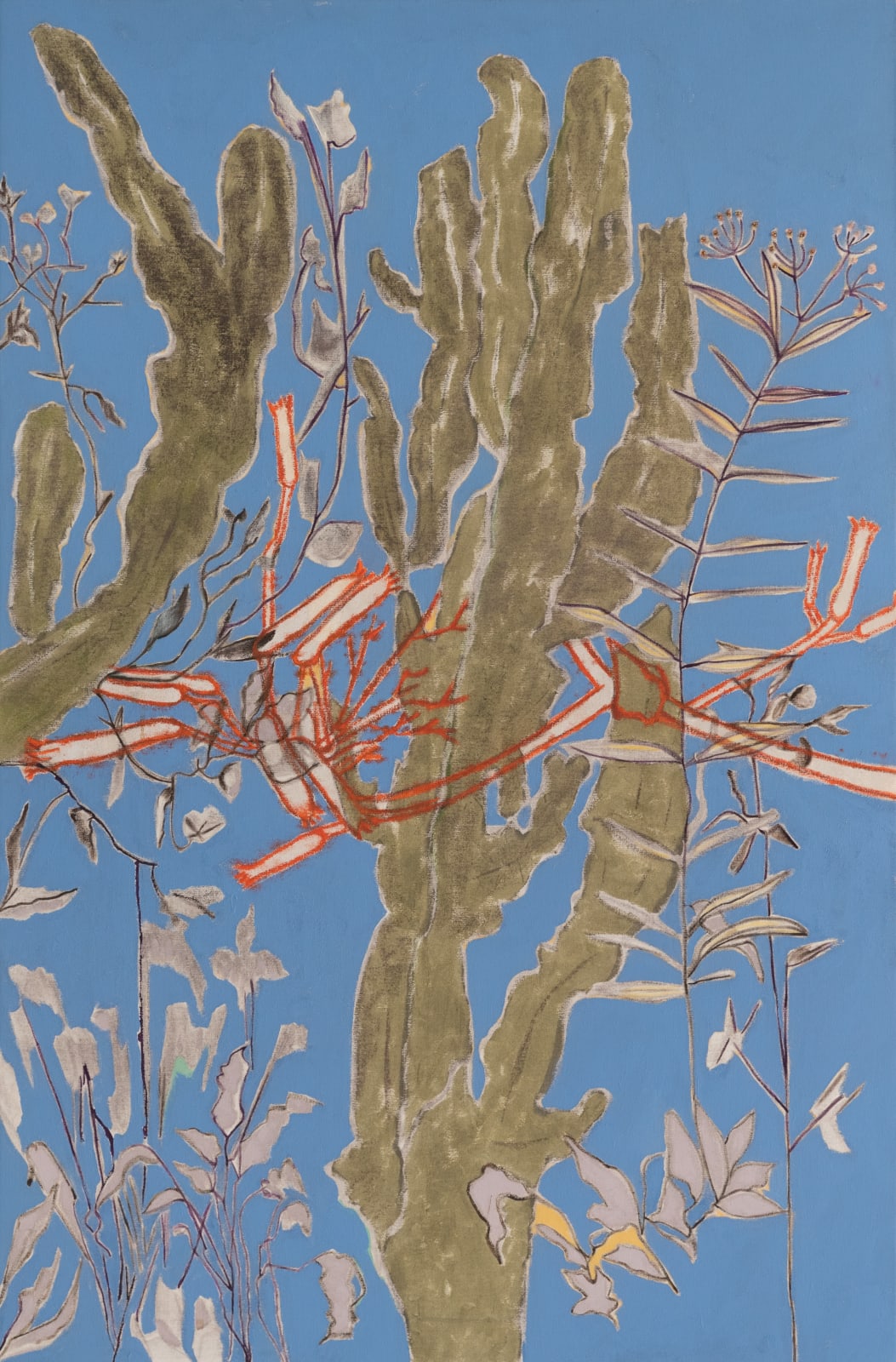 Amira Behbehani, Untitled