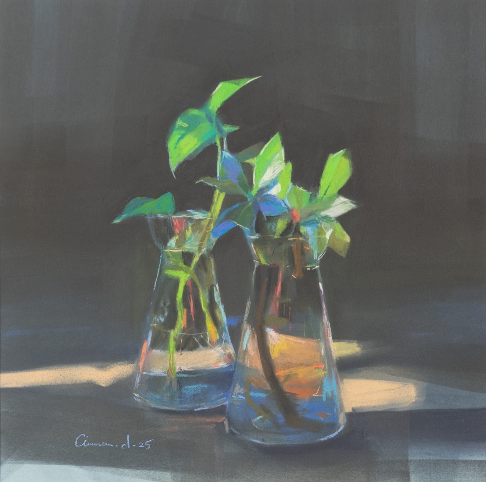 Amna Al Darwish, Bloom in Stillness , 2025