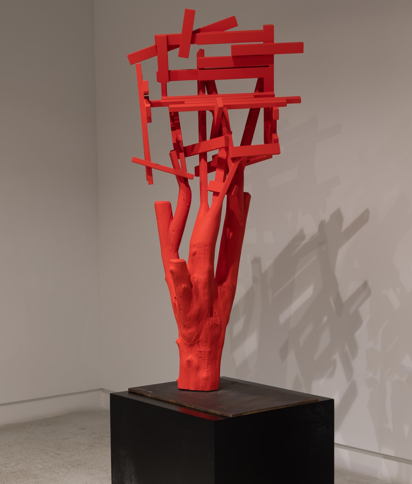Aisha Al Sulaiti, Tree of Memory, 2025