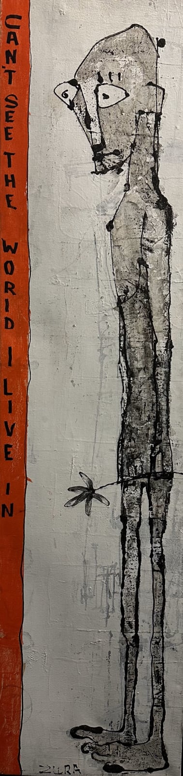 Zura, Can't See the World I Live In, 2011