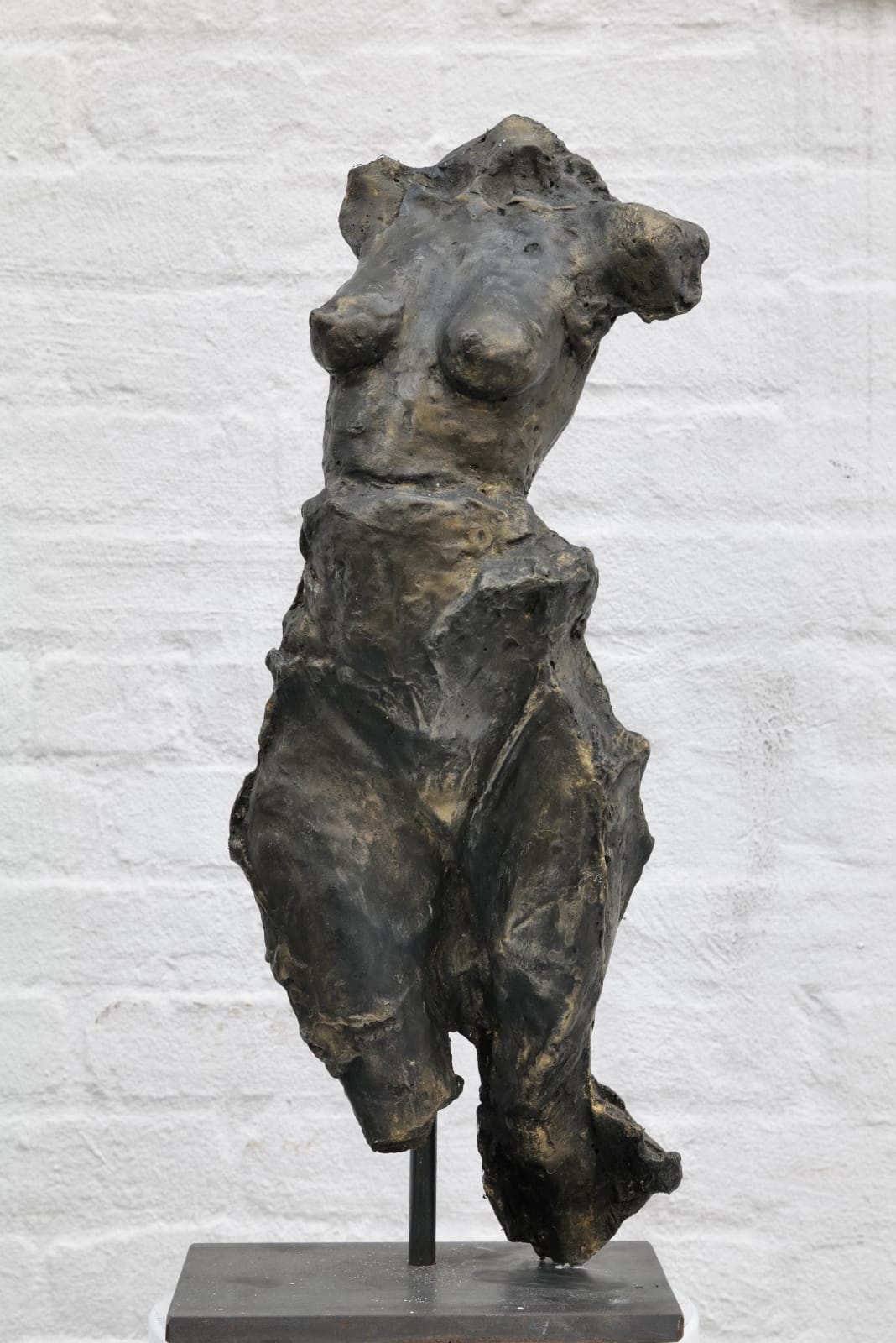 Zura, Female Torso, 2021