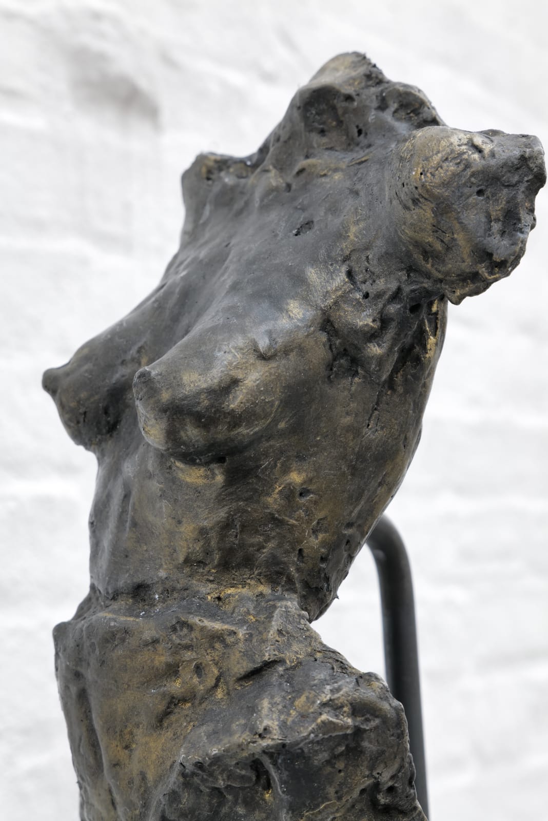 Zura, Female Torso, 2021