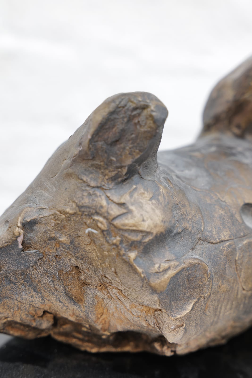 Zura, Horse Torso, 2019