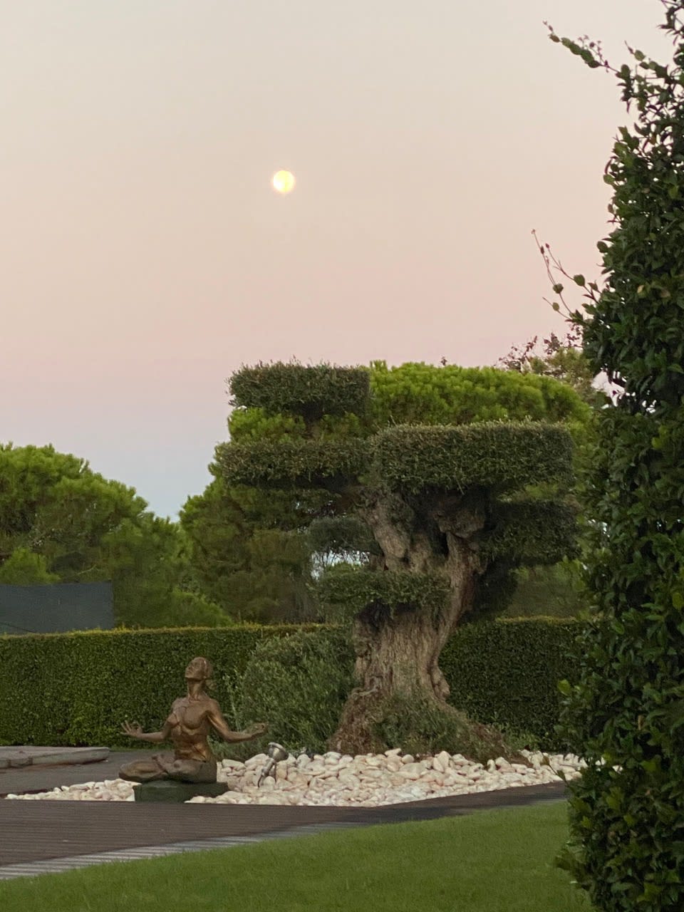 Expansion in the Garden