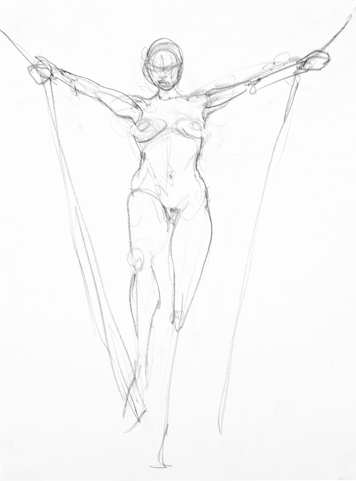 Study with Ropes No. 2, 2014