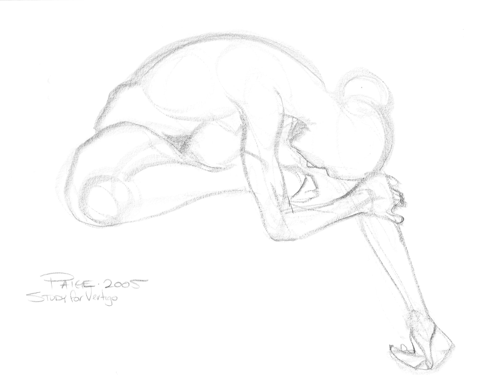 Vertigo Study No. 4, 2005