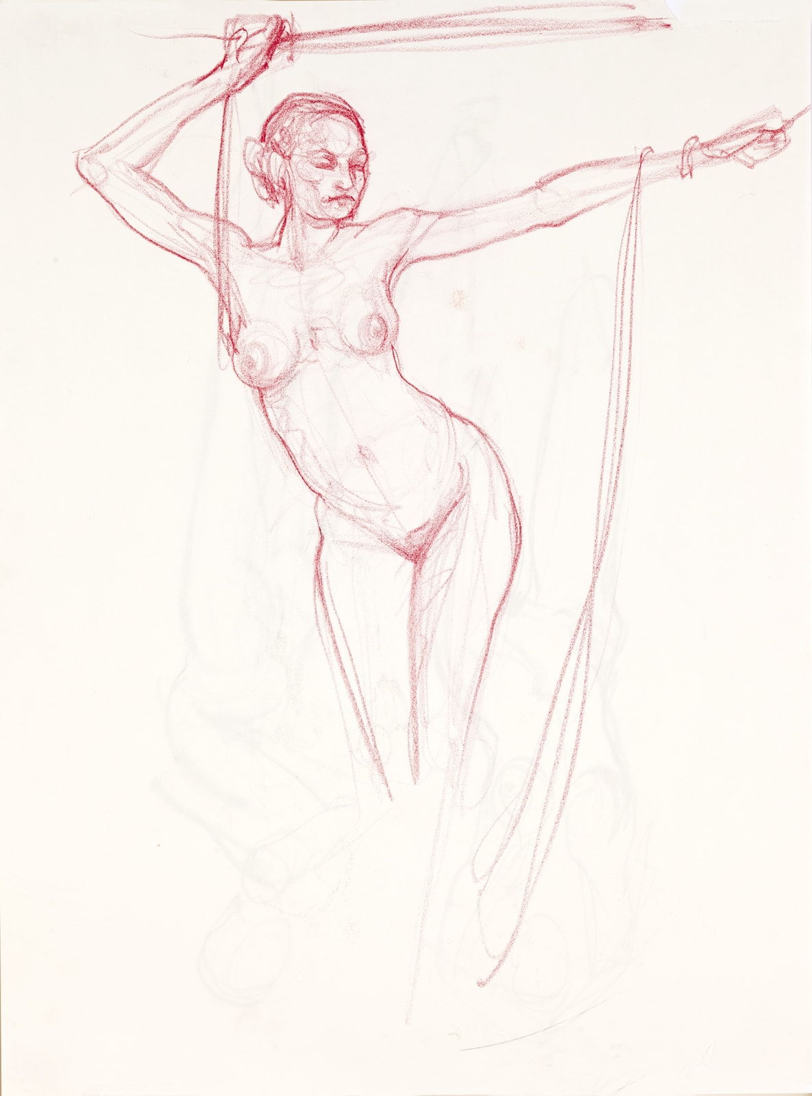 Study with Ropes No. 3, 2014