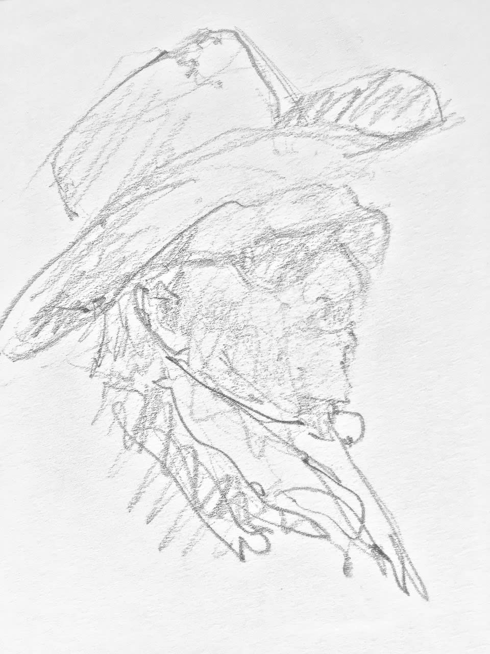 Santa Fe Portrait, 2024