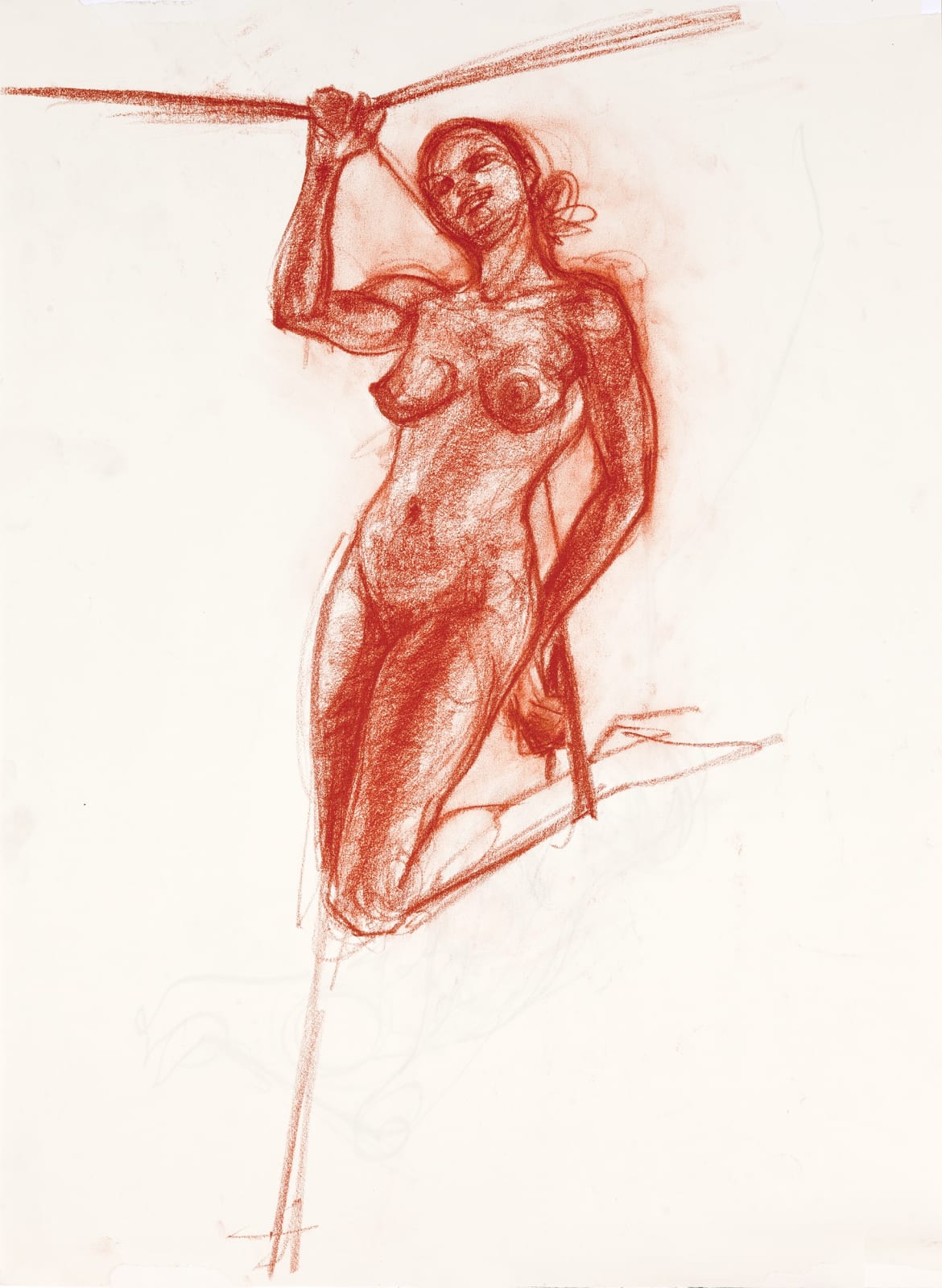 Study with Ropes No. 5, 2014