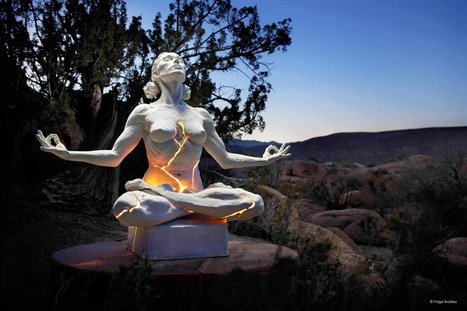 Expansion Joshua Tree Print