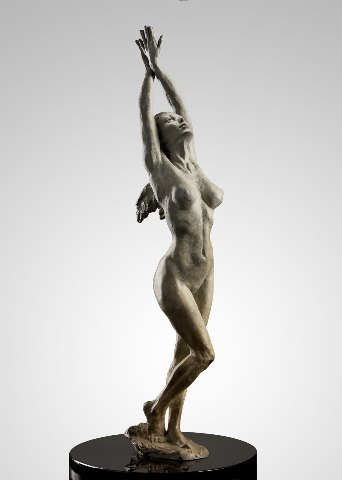 Angel of Possibility, 2013