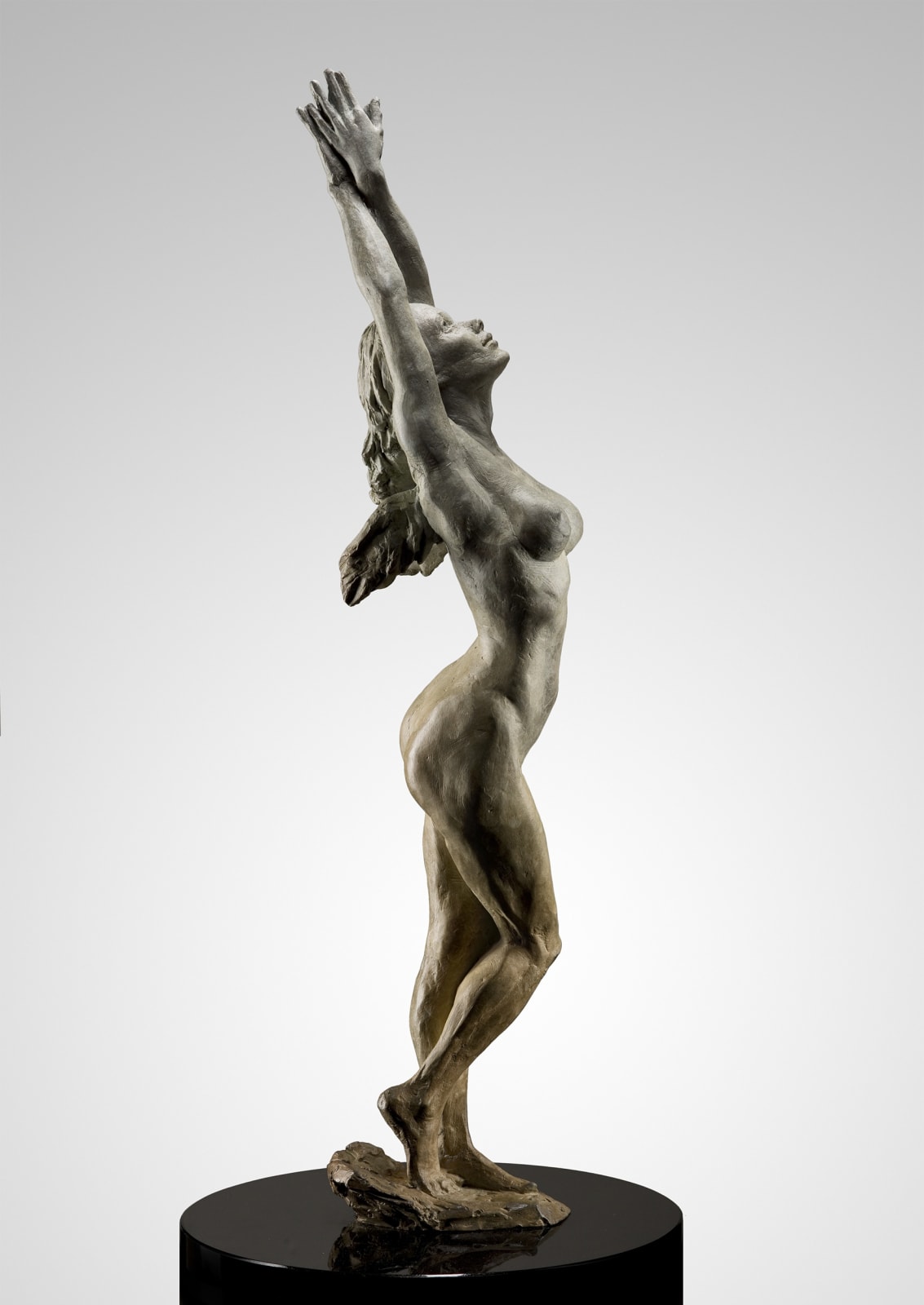 Angel of Possibility, 2013