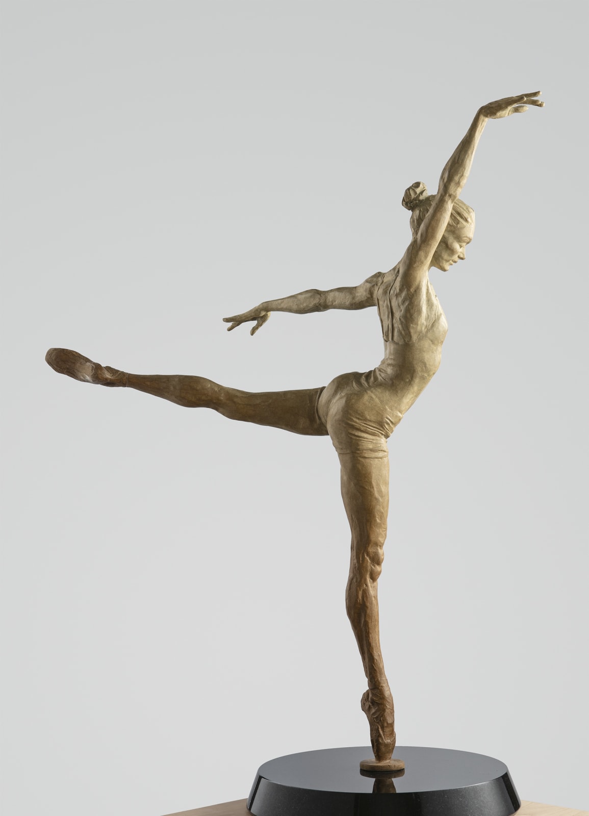 Academia (maquette), 2019