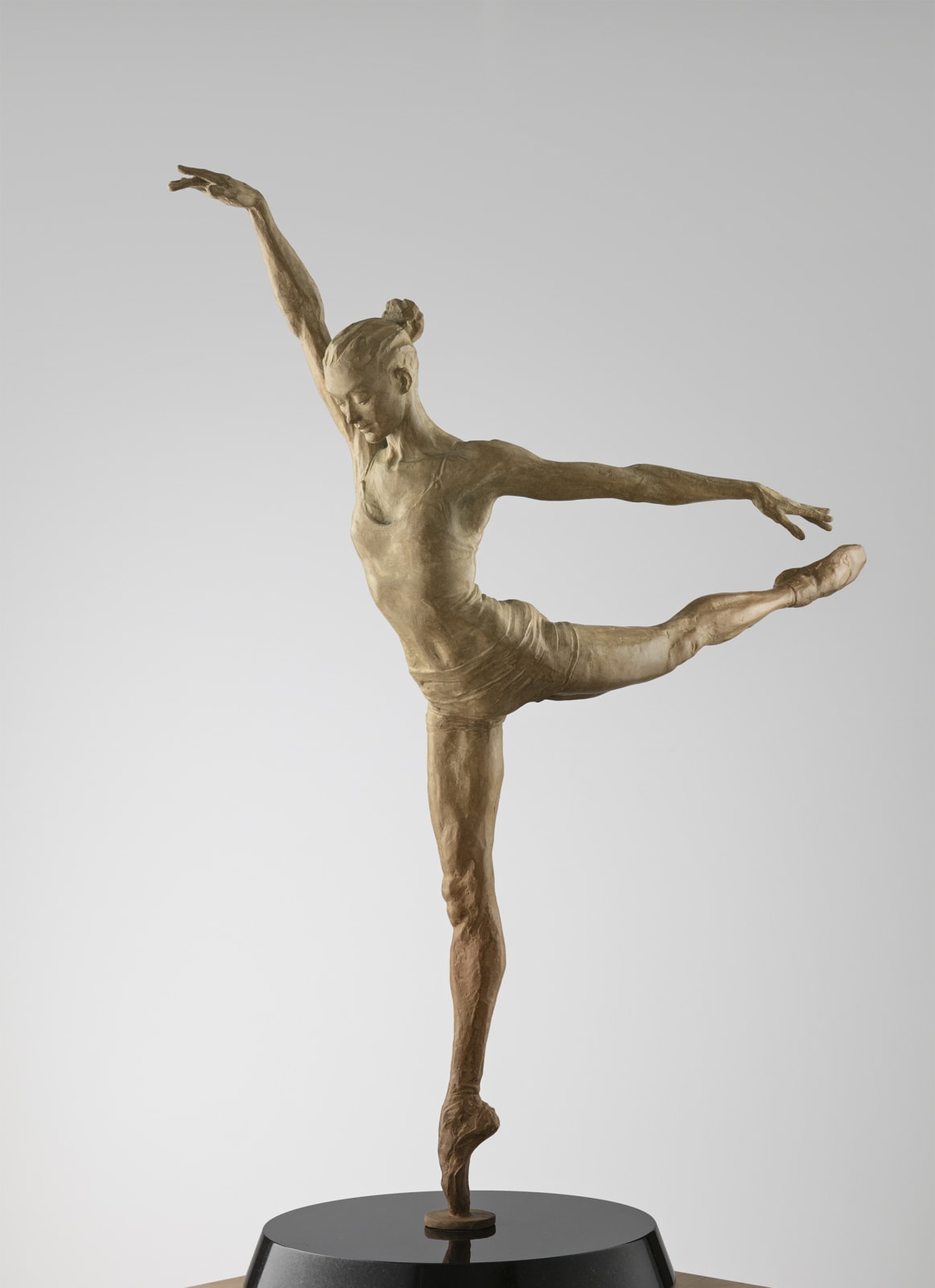 Academia (maquette), 2019