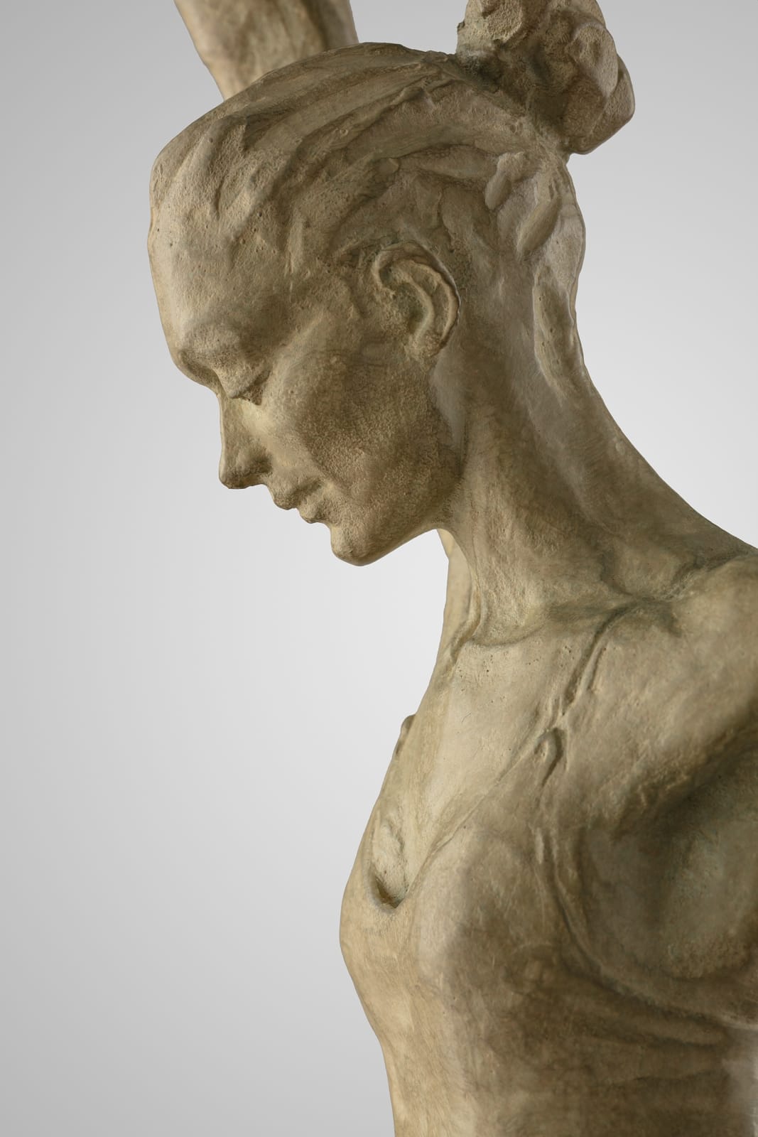 Academia (maquette), 2019