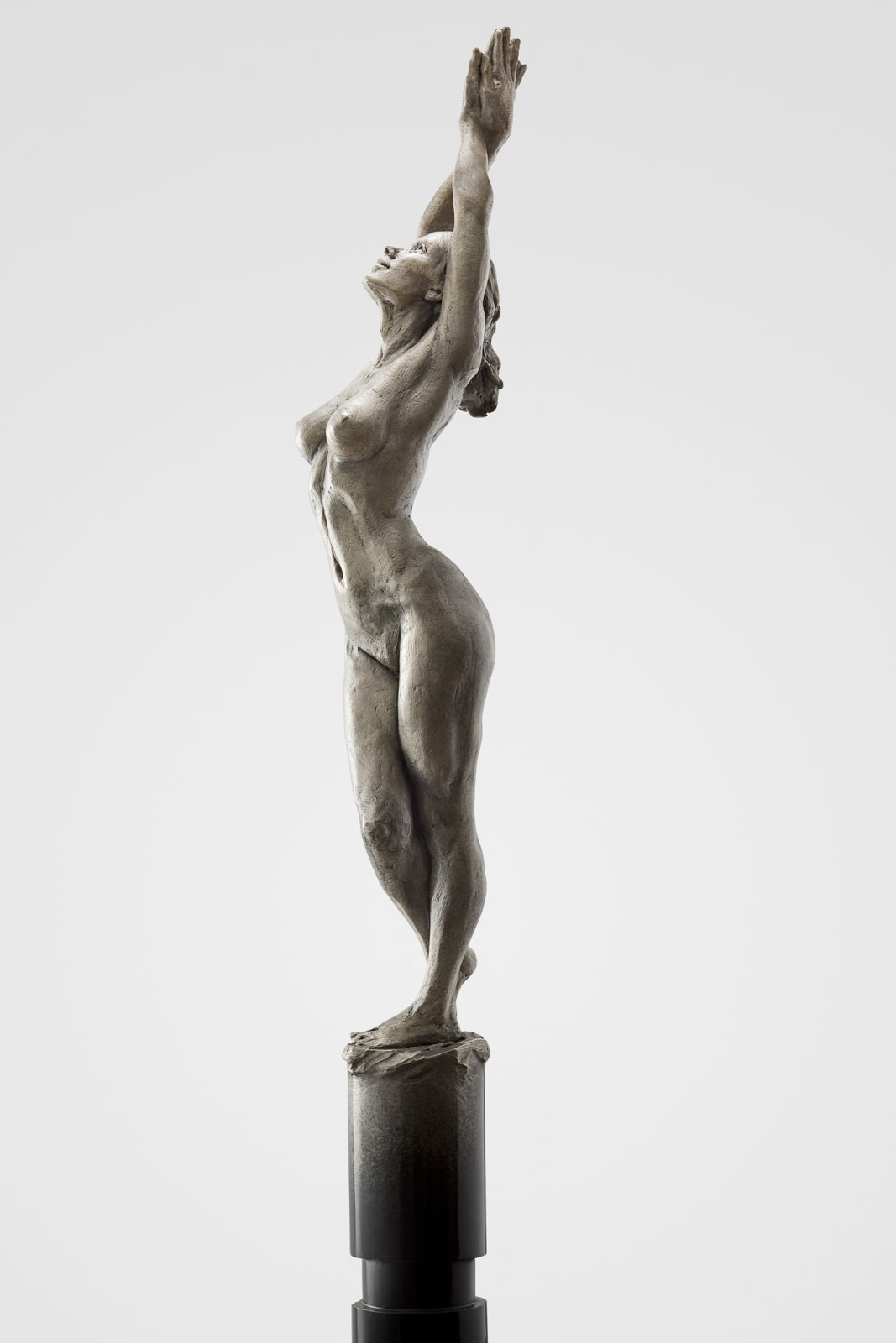Erato Column, 2014