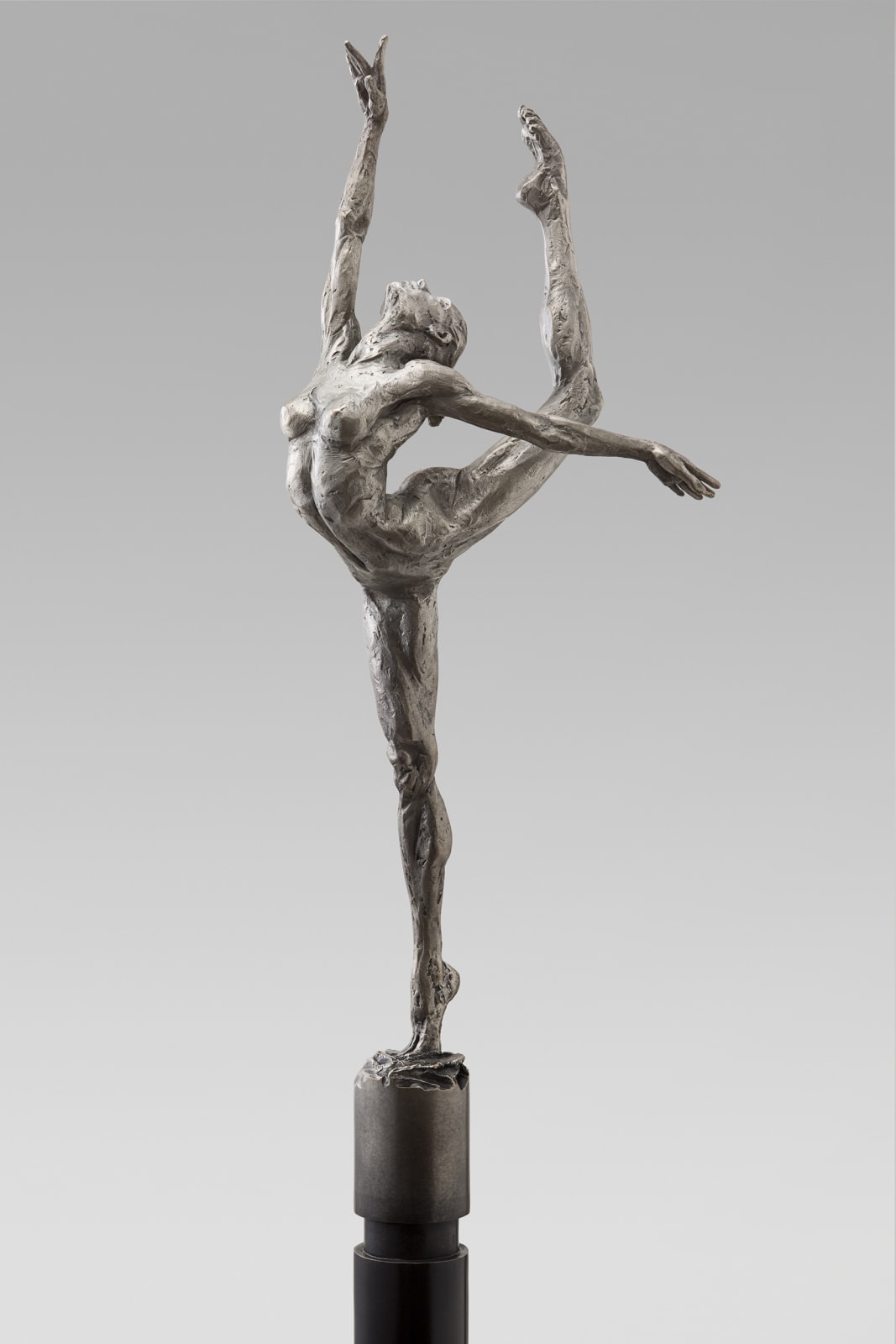 Soar Column, 2014