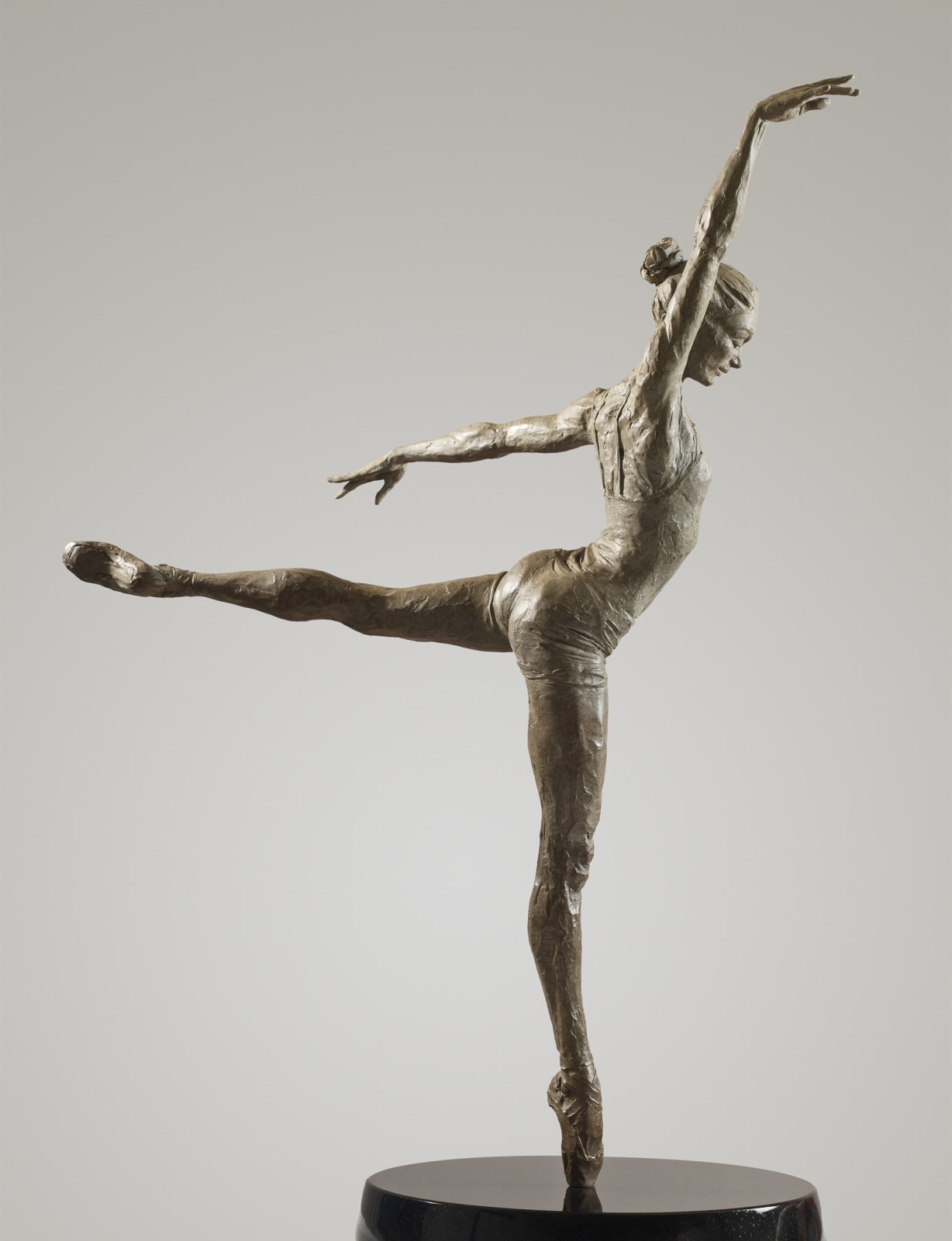 Academia (third life), 2008