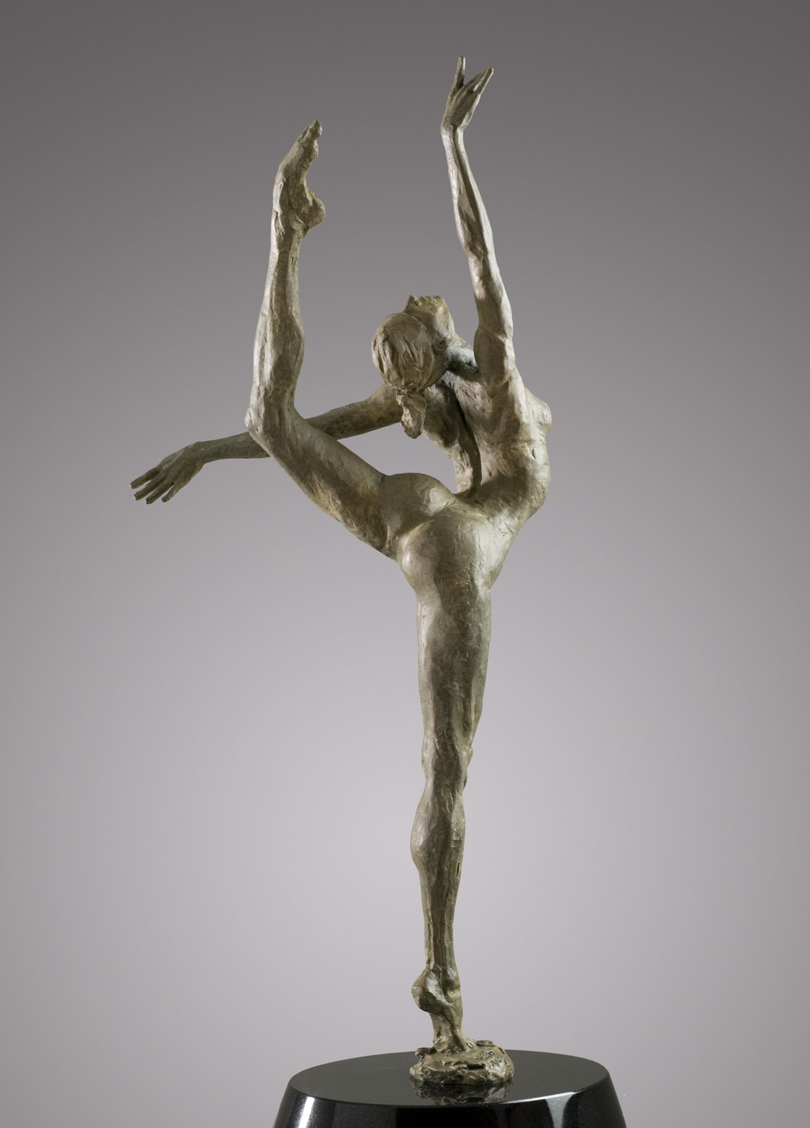Soar (maquette), 2009