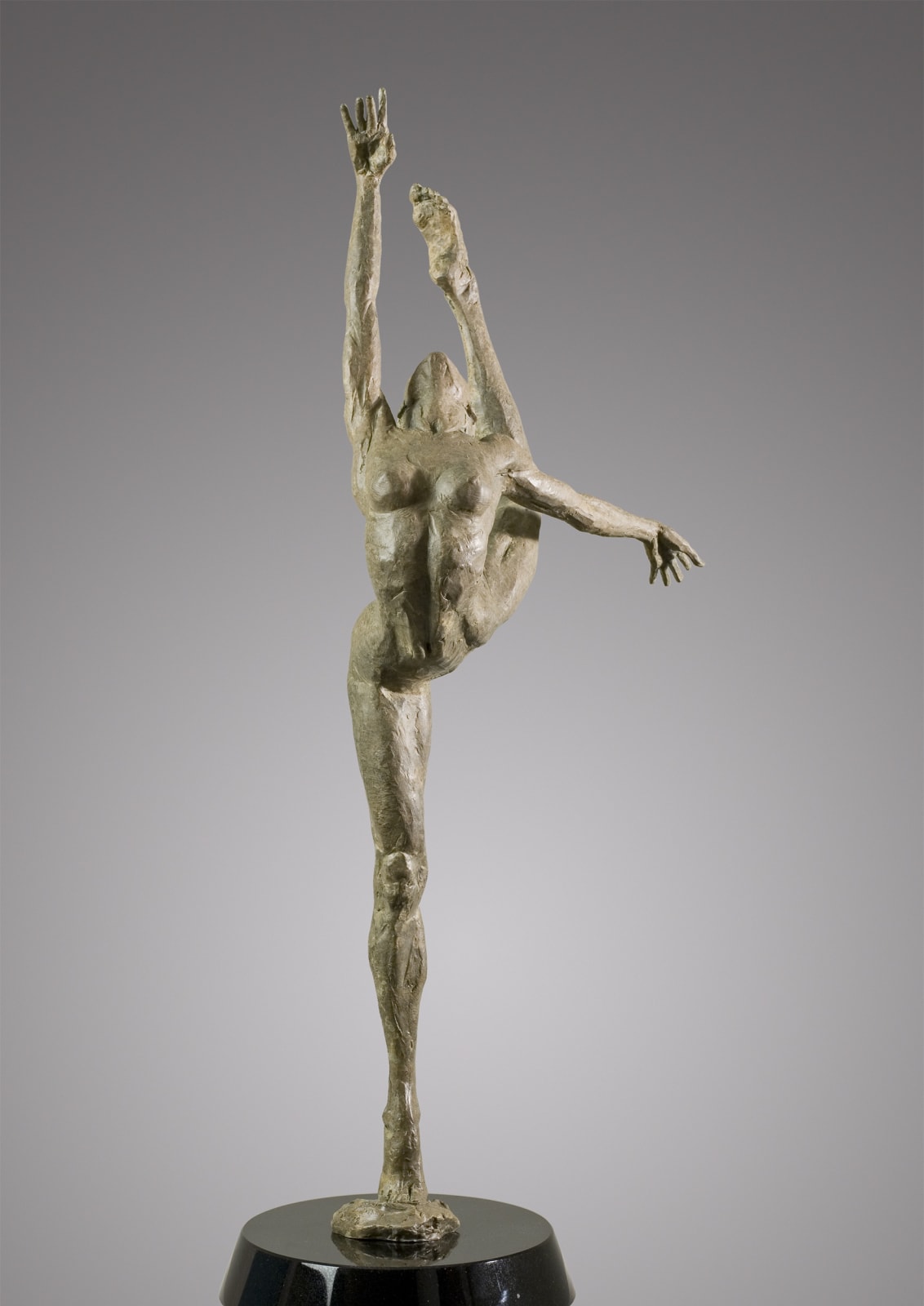 Soar (maquette), 2009