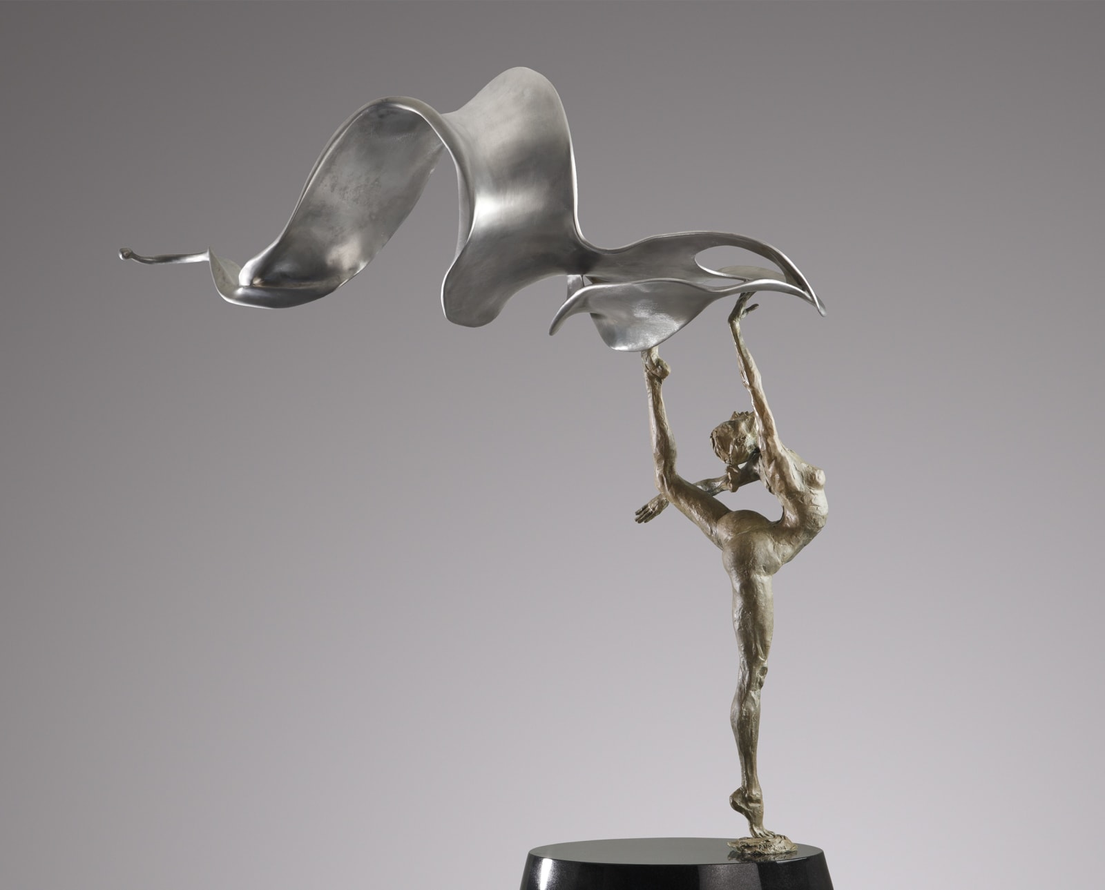 Soaring, 2009