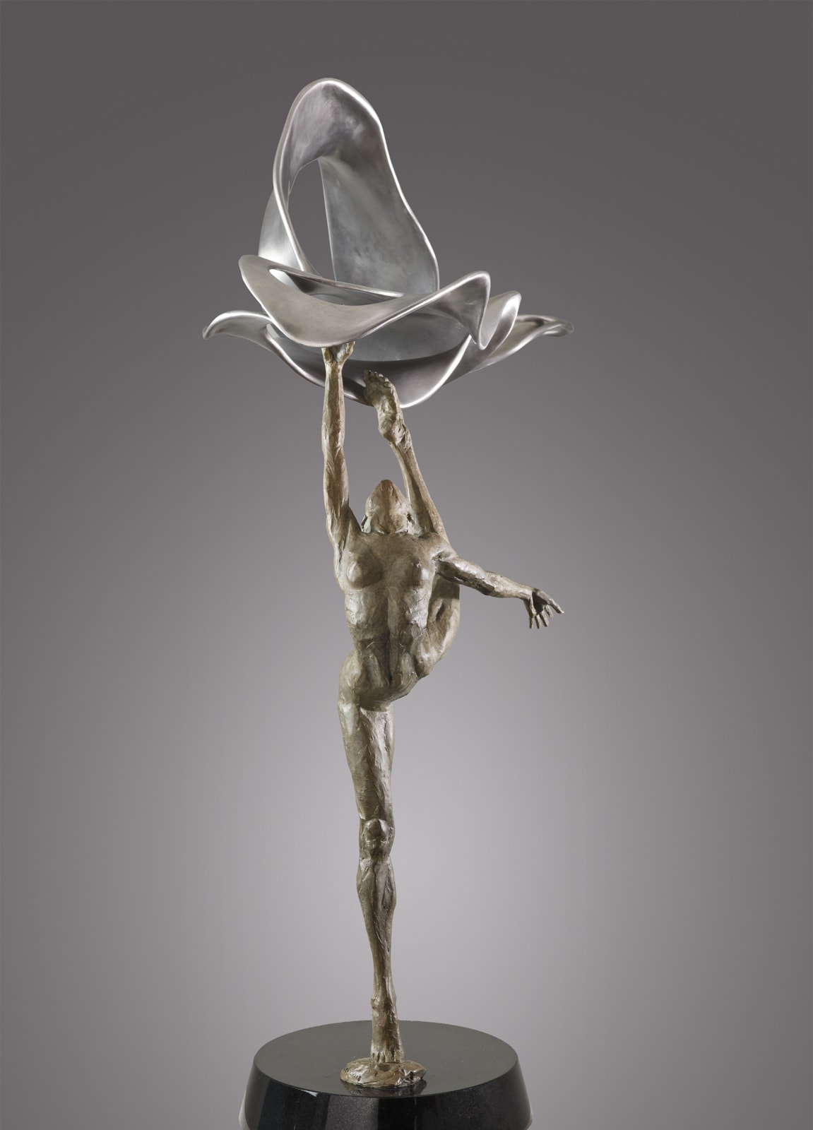 Soaring, 2009