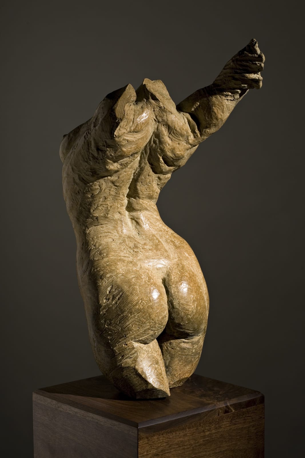 Luna (Torso), 2006