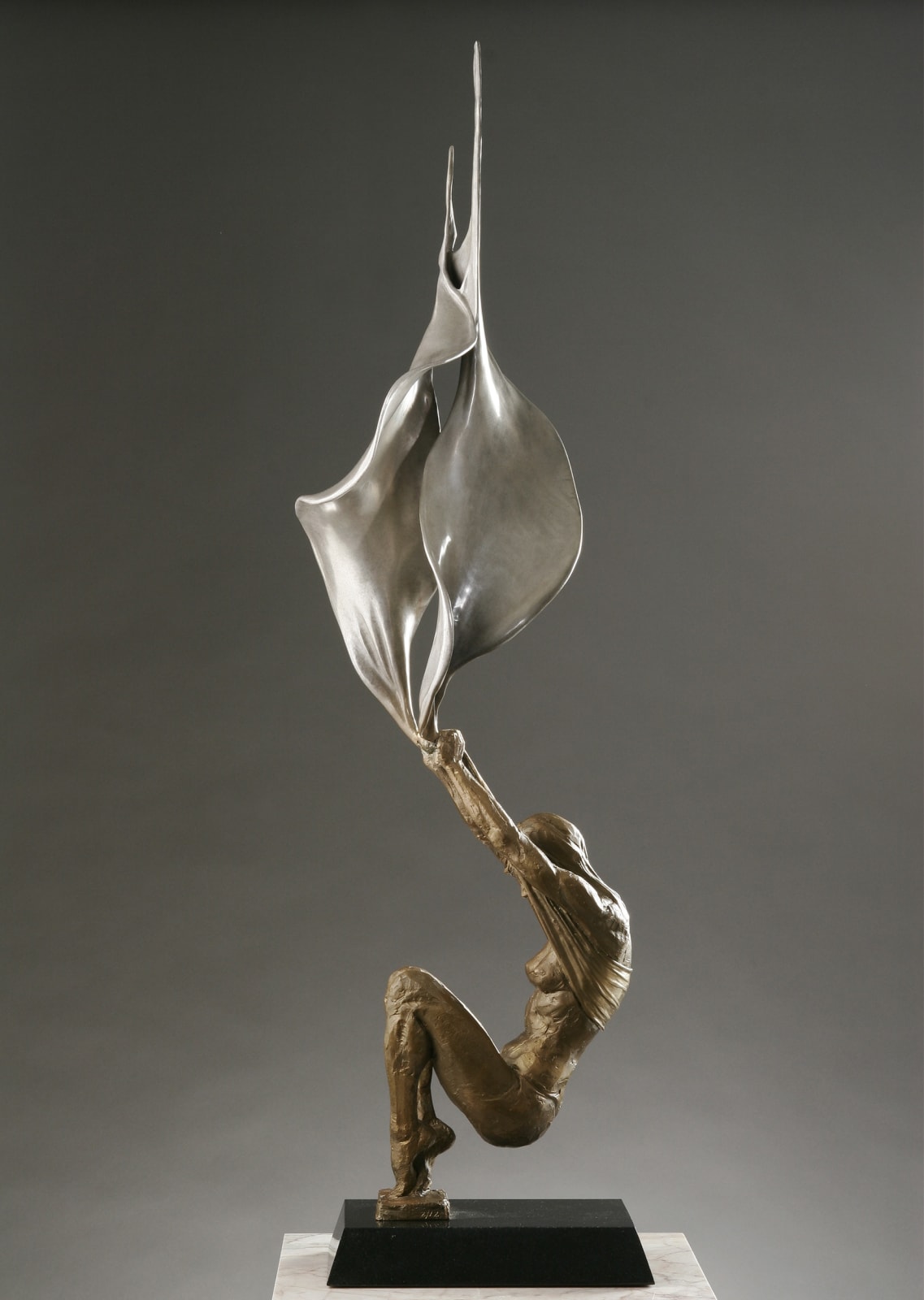 Conception, 2006