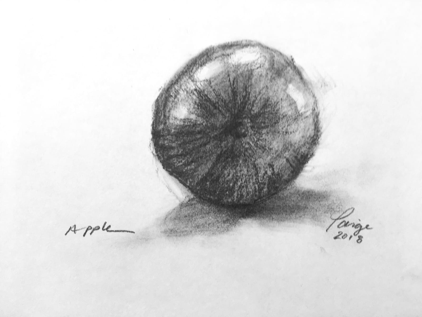 Apple Studies No. 11 - 16, 2018