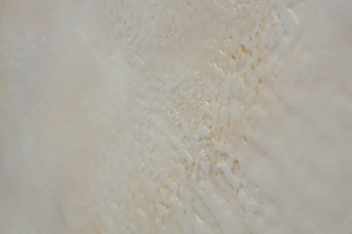 Norah Levine, Full, 2025