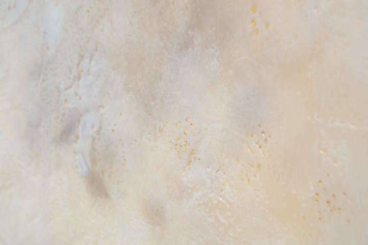 Norah Levine, Full, 2025