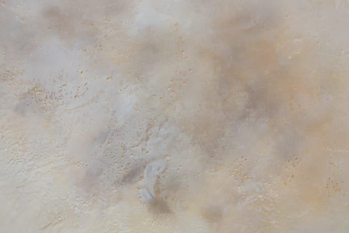 Norah Levine, Full, 2025