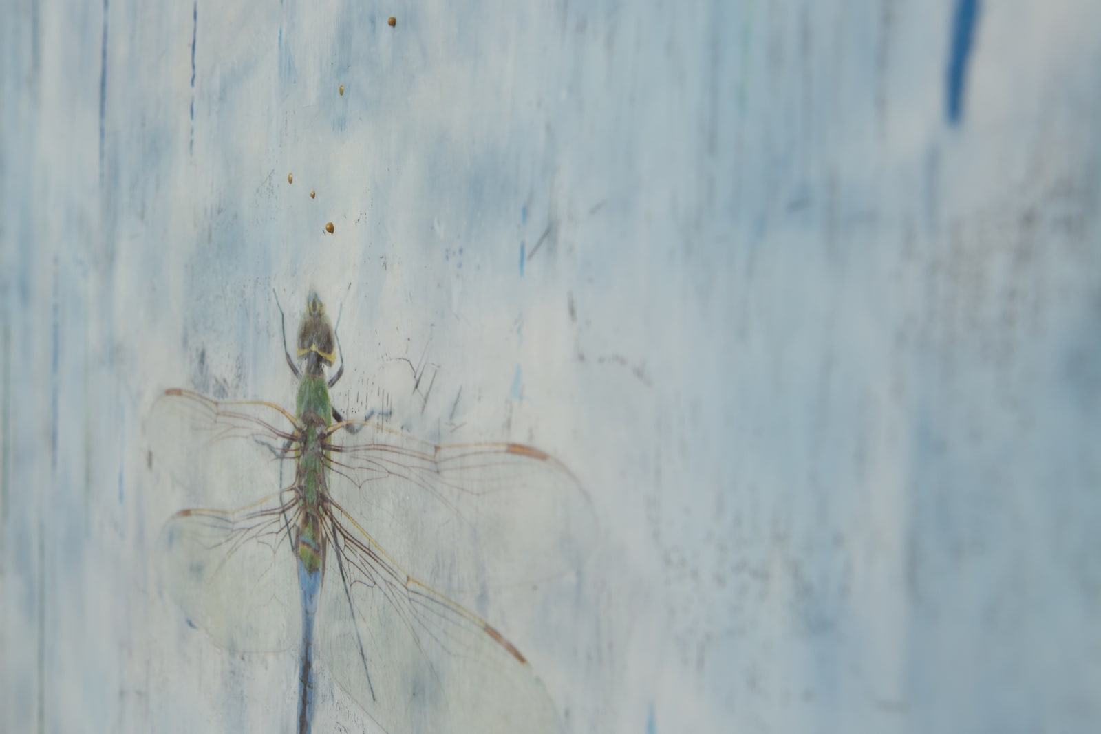 Norah Levine, Paths Crossed, 2020