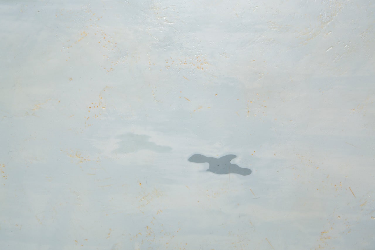 Norah Levine, Nourished , 2024