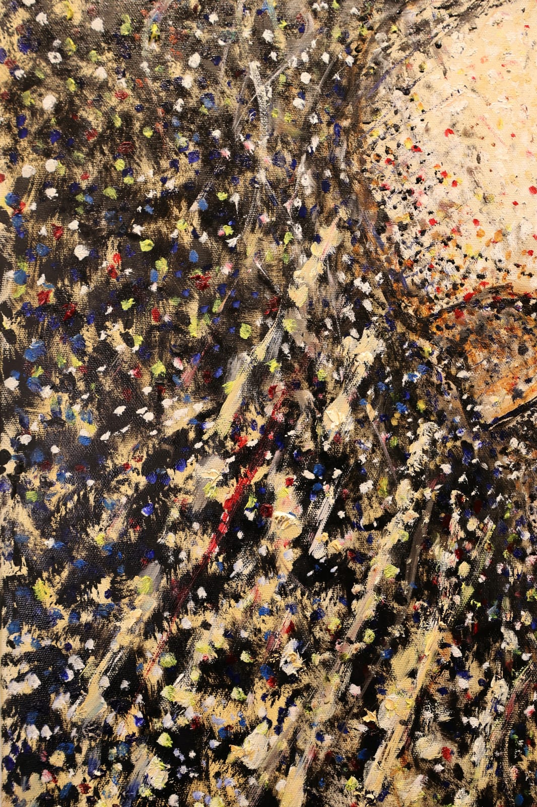 Laszlo Hamori, Gaza Lady of humanity, 2025