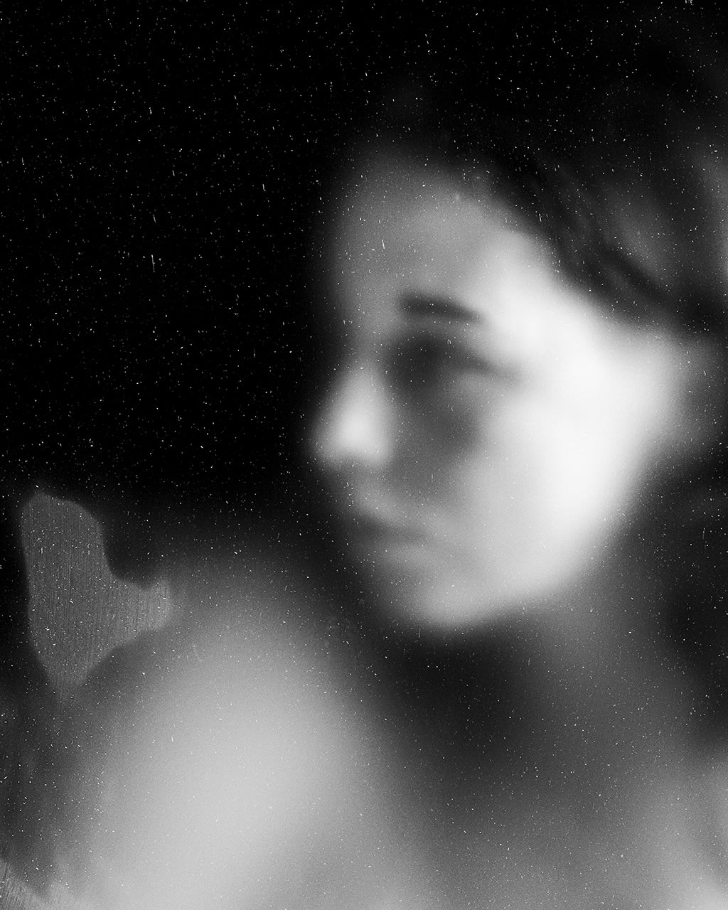 Laura Veschi, Presenza Muta