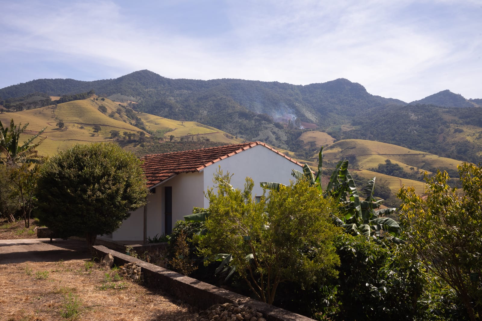 Foto: João Ferraz