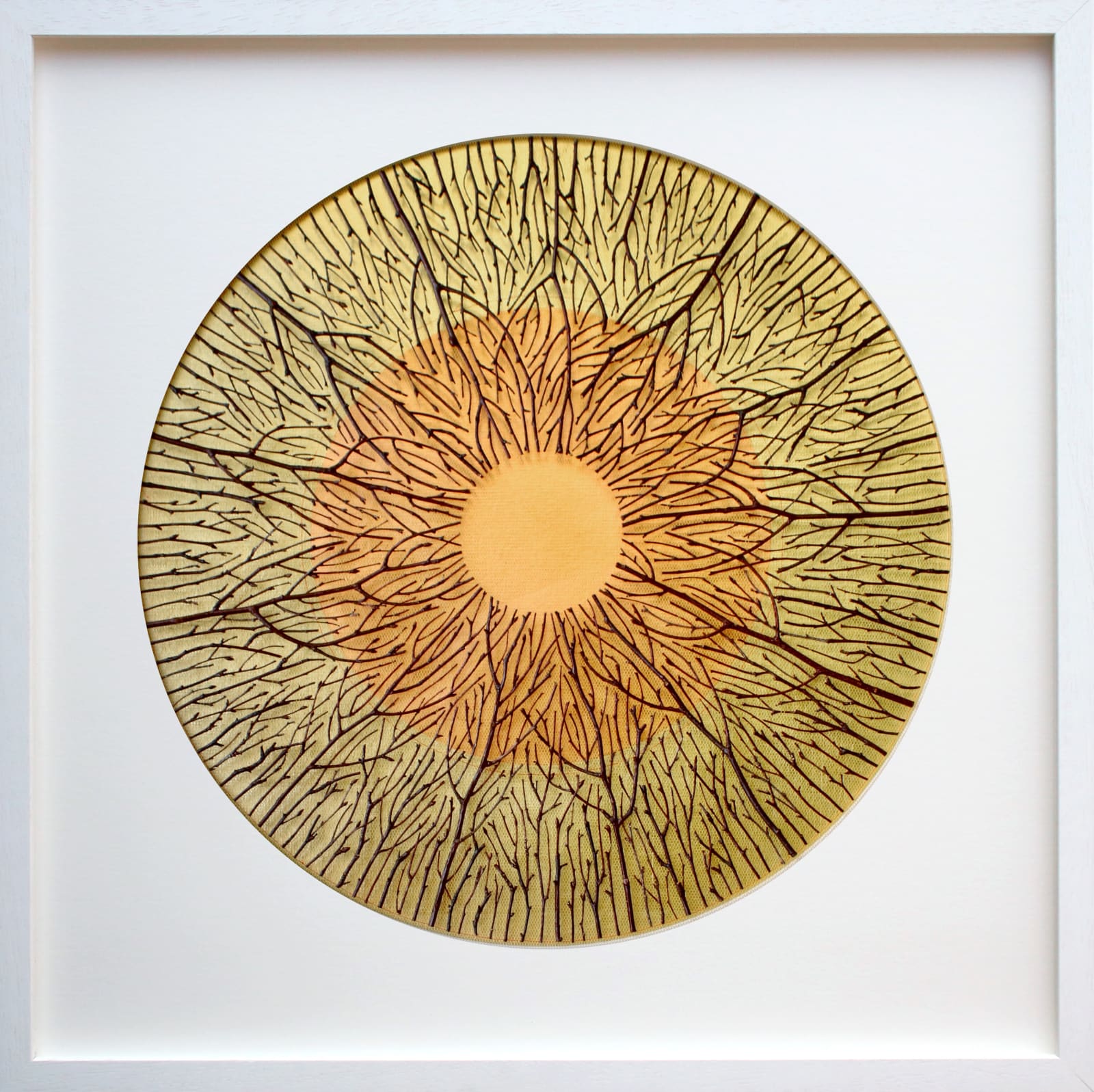 Olga Prinku, Under the Watchful Eye, 2025