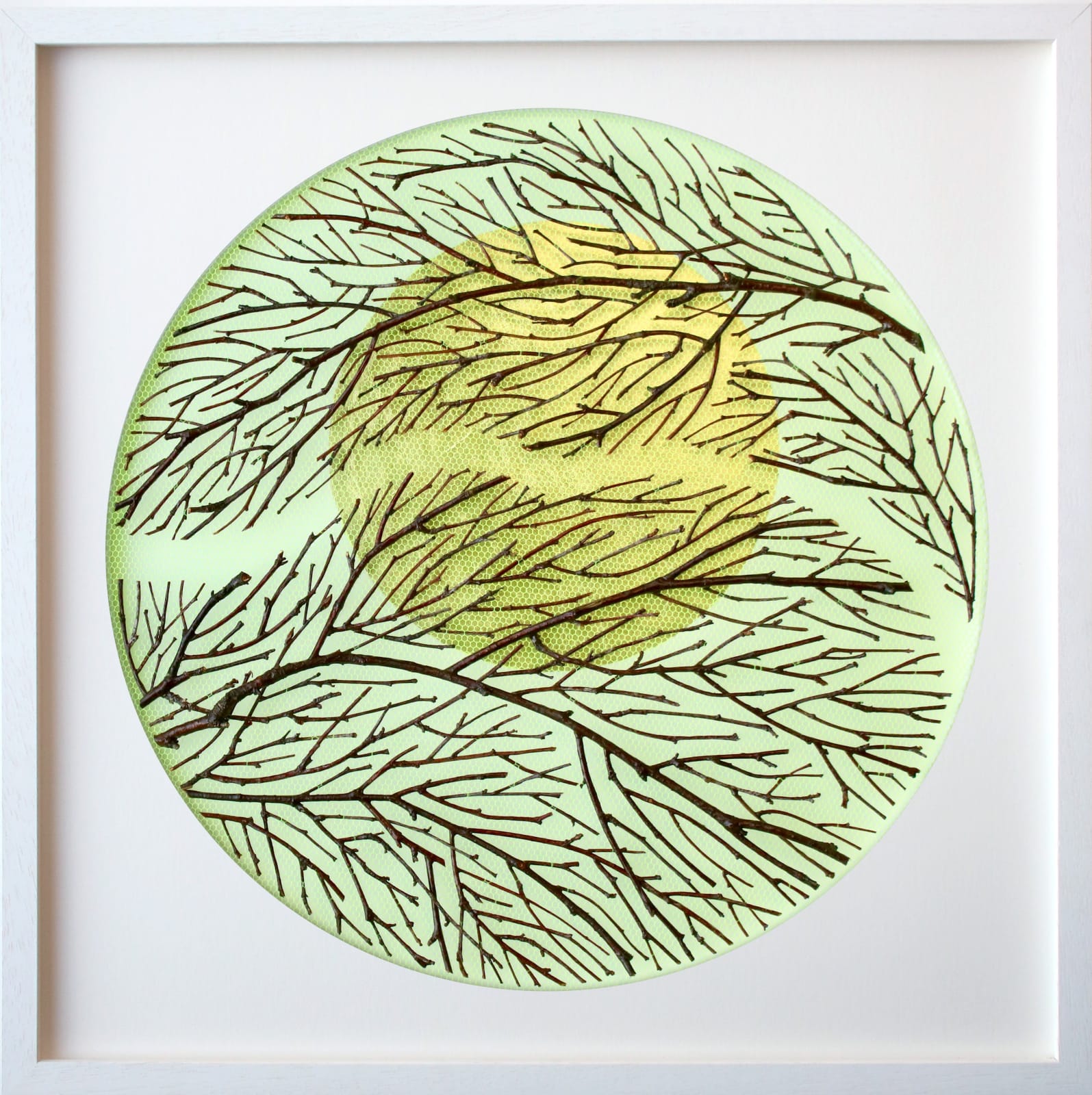 Olga Prinku, Embrace, 2025