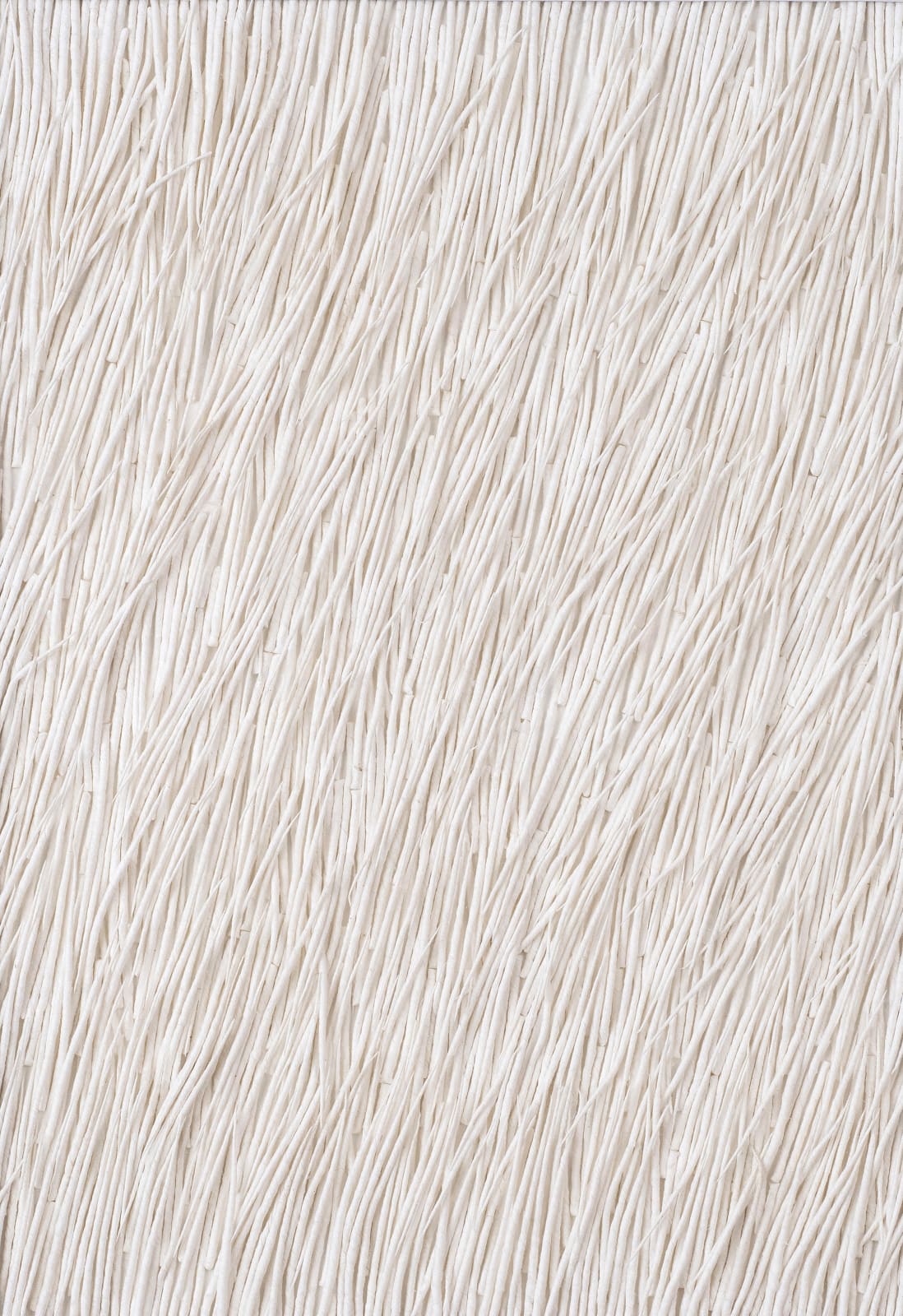 Gleb Skubachevsky, Alien Creature, 9, 2024