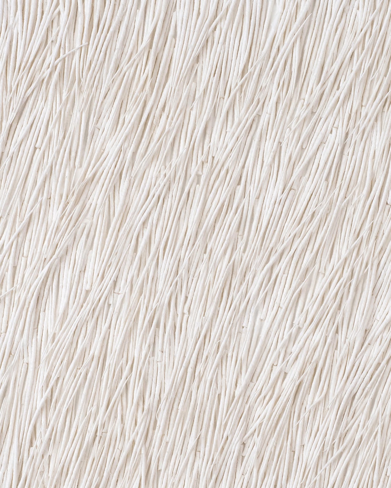 Gleb Skubachevsky, Alien Creature, 9, 2024