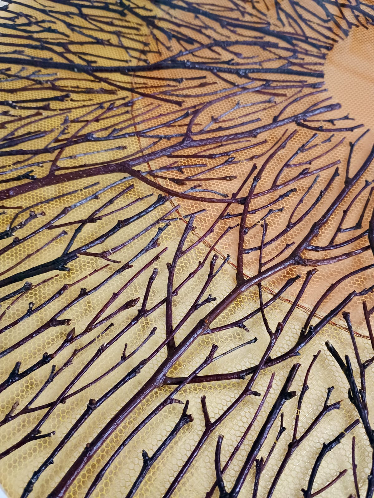 Olga Prinku, Under the Watchful Eye, 2025